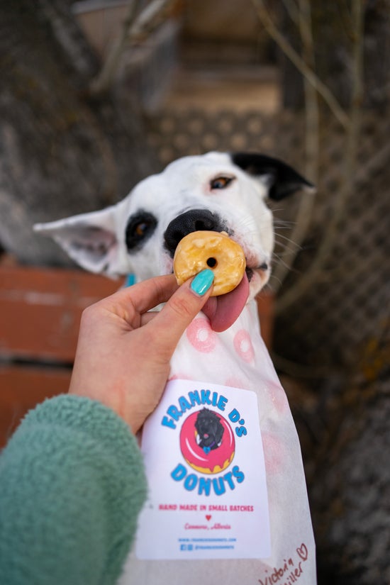 4 Pack Doggie Donuts